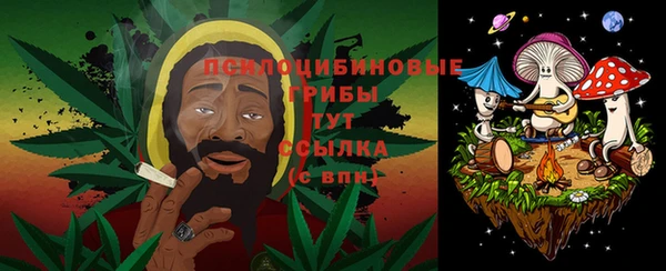 хмурый Кулебаки