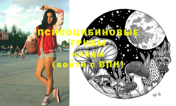 хмурый Кулебаки