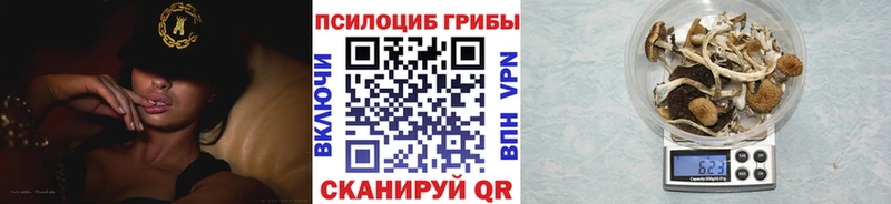 Купить закладки  Карталы  Псилоцибиновые грибы Magic Shrooms 